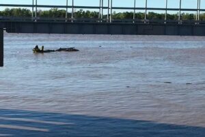 Banco de la Naci&oacute;n Argentina