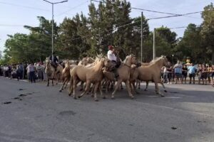 BANCO DE LA PCIA. DE BS. AS.