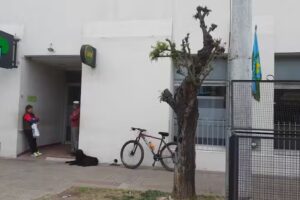 Banco Provincia 7003