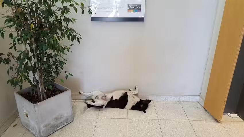 Cajero Automatico Banco Credicoop Chivilcoy