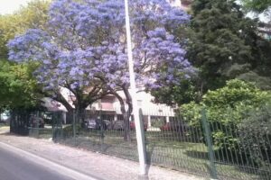 Cajero Automatico Banco Credicoop Mercado Central