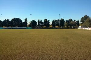 Prospera Mutual Sto Dgo