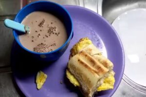 Western Union Pago Fácil – Agente